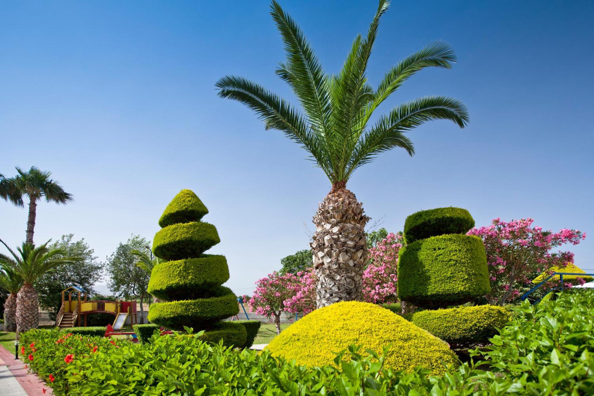 Corali Hotel ตีกากี ภายนอก รูปภาพ